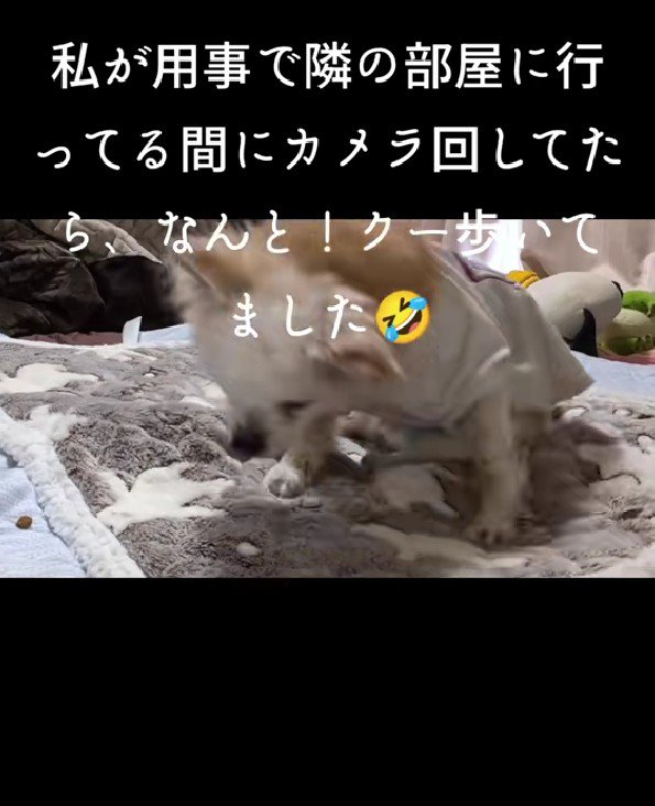 もう歩けないと思っていたら…