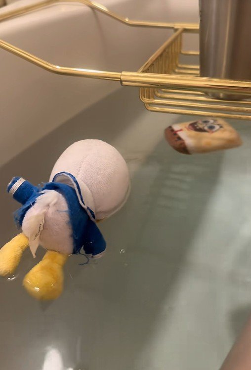 プカプカ浮いているおもちゃたち