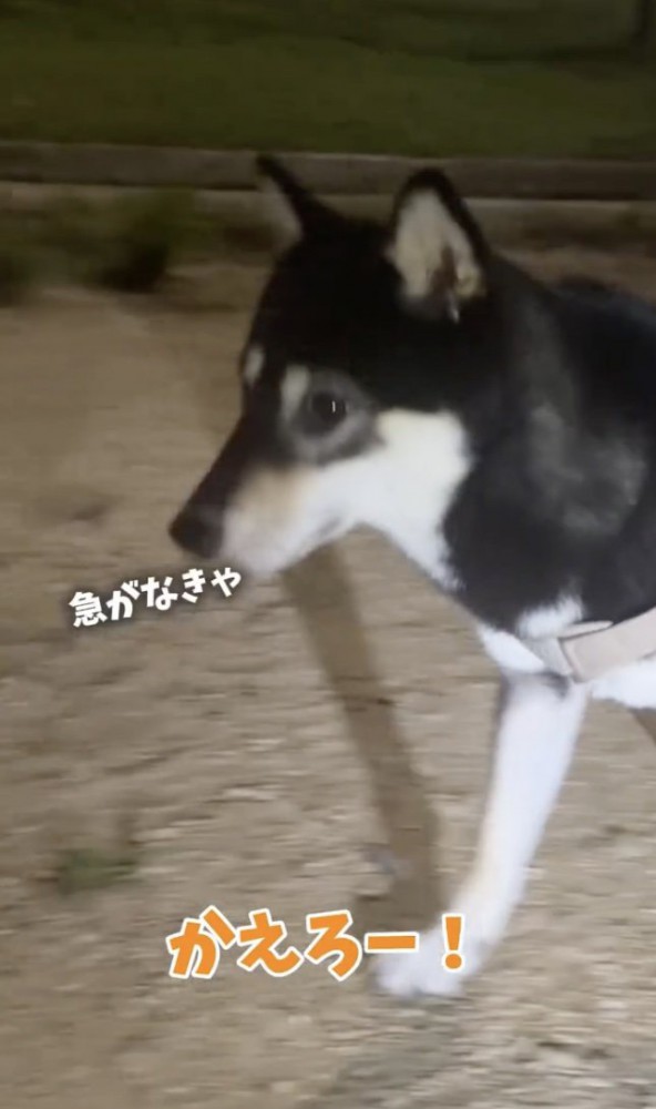 すぐさま歩き出します