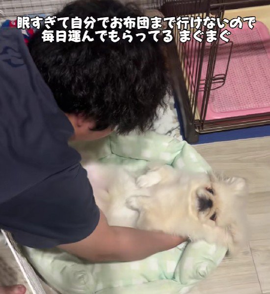 ベッドに置いても動かない
