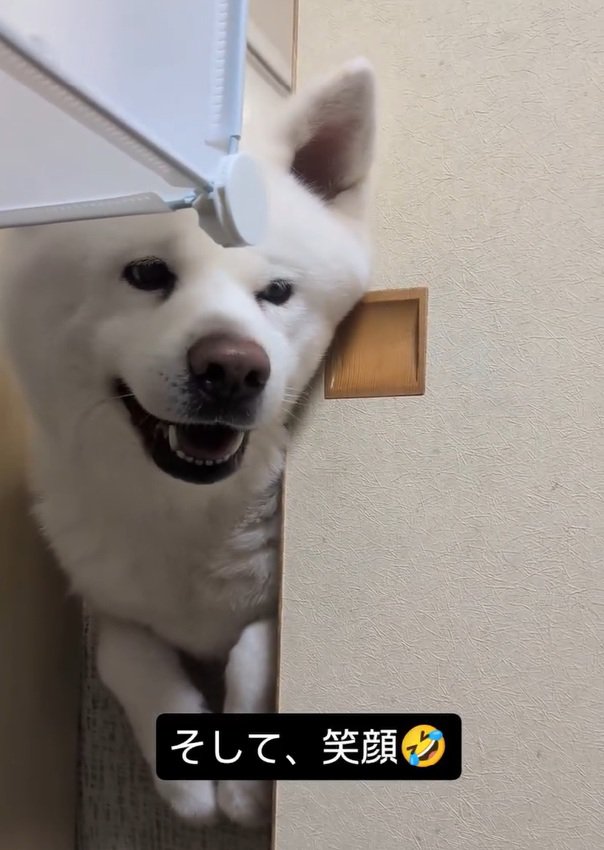 笑顔のこゆきちゃん