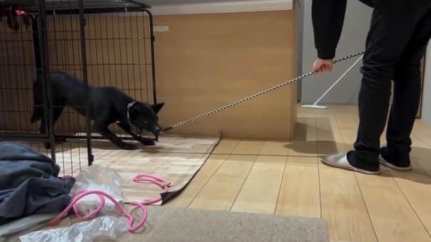 トレーニングをする凛月ちゃん