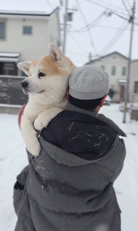 大きな赤ちゃんのよう♡
