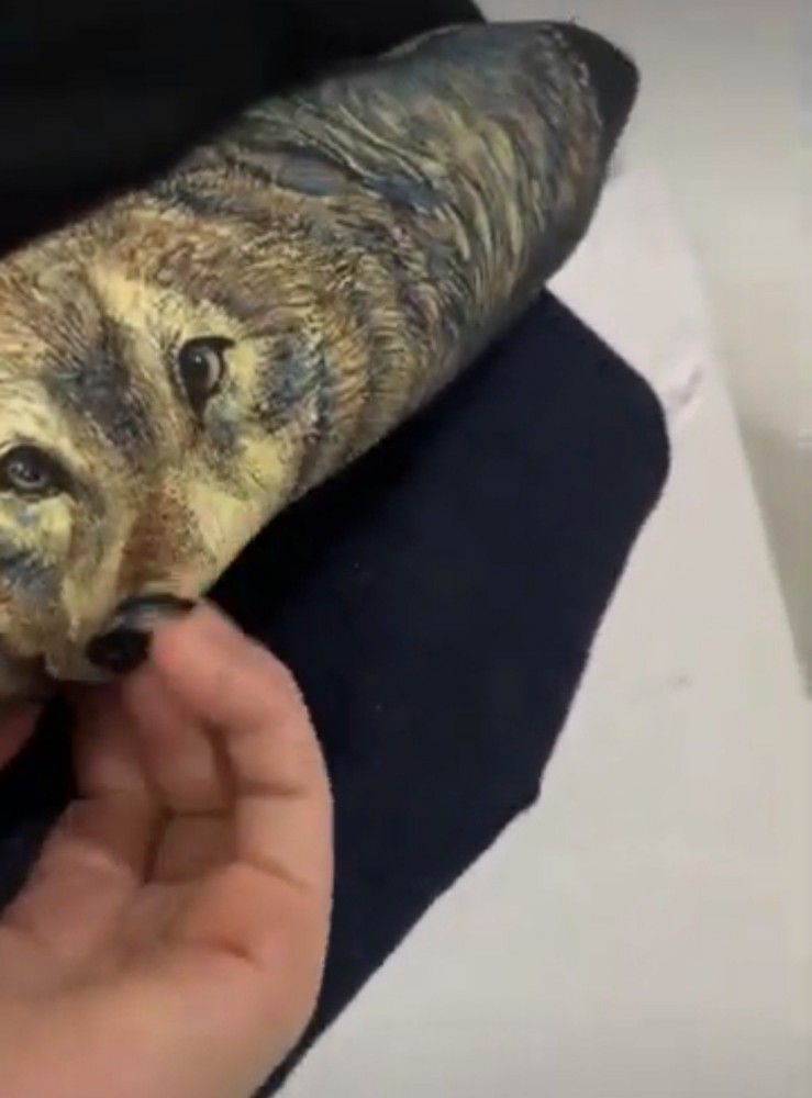 オオカミのイラストを撫でる