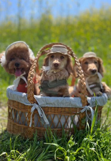 かけがえのない存在に