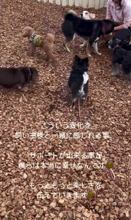 人間は怖いものじゃない…