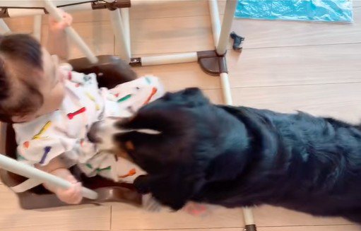 女の子を見守るダンロくん5