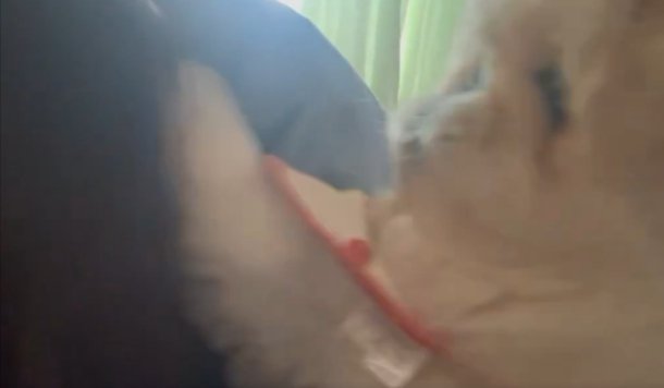 ふわふわ