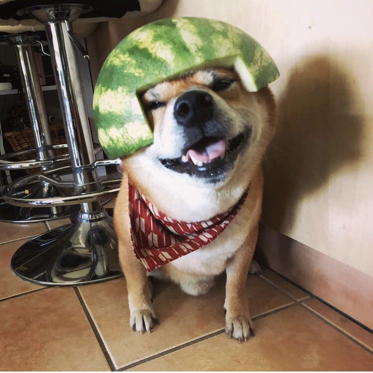 被り物