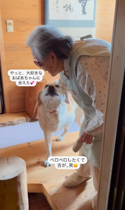 ララちゃんとユーザーさんの再会2