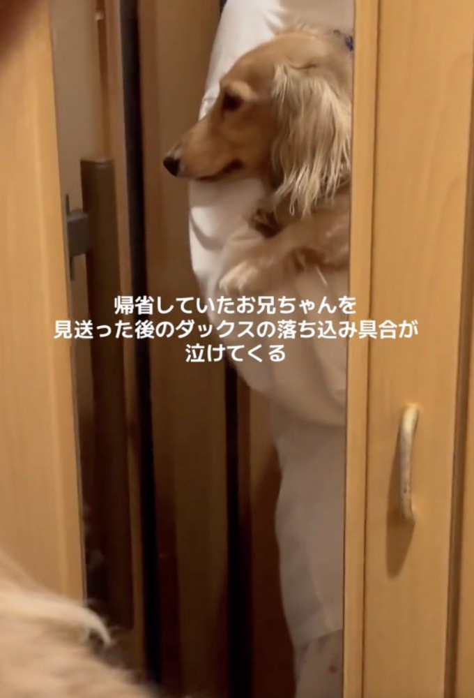 元気が無くなってしまいました