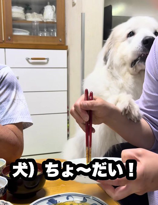 「ちょっとだけ……」