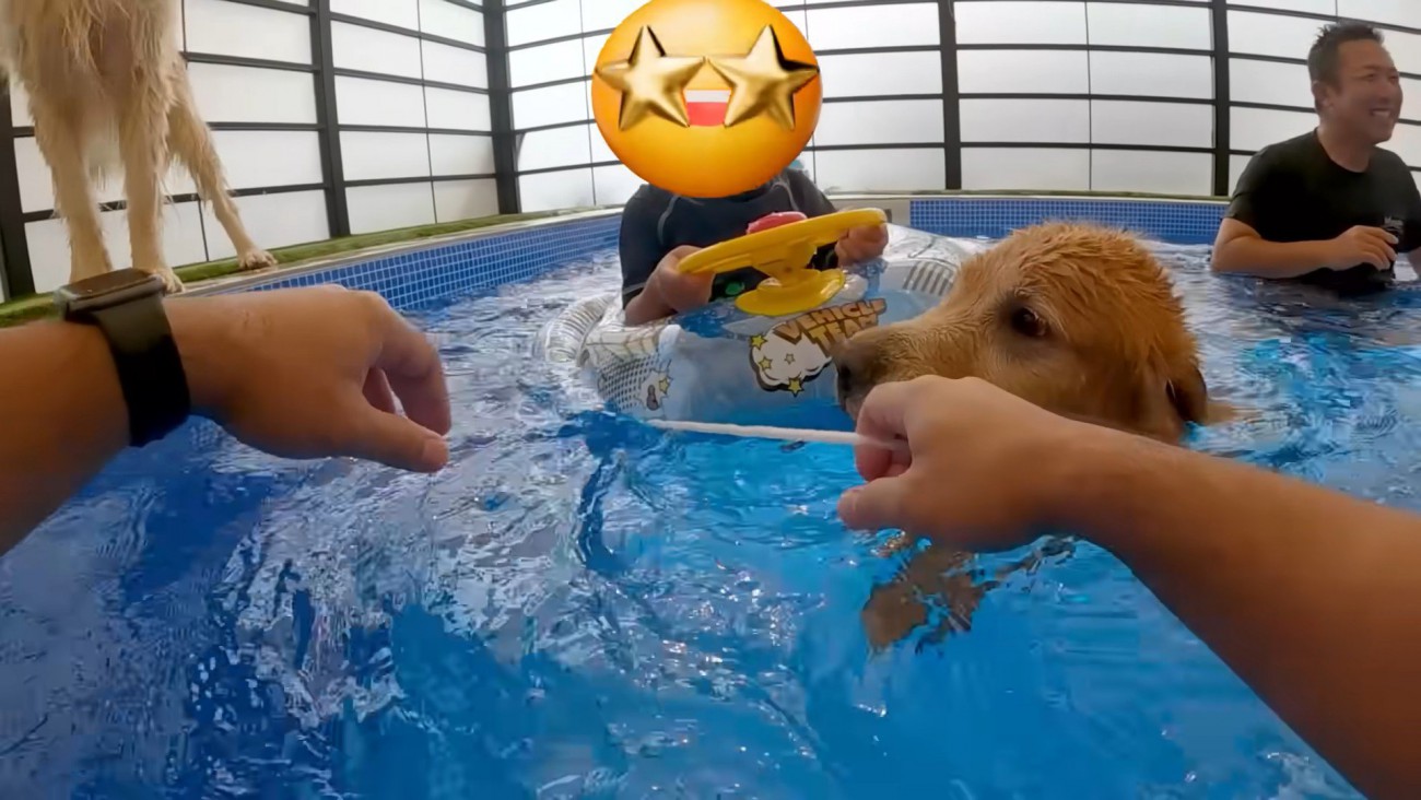 「僕が連れて行くよ！任せて！」