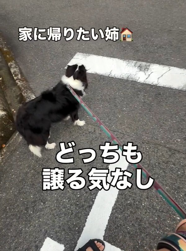 家に帰りたい るなちゃん