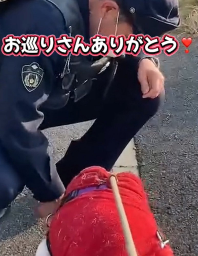 おやつを食べる犬