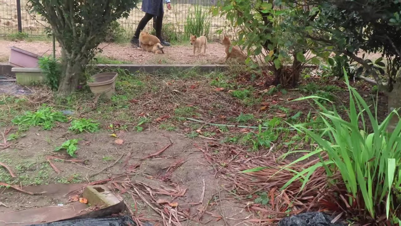 天国のような光景…♡