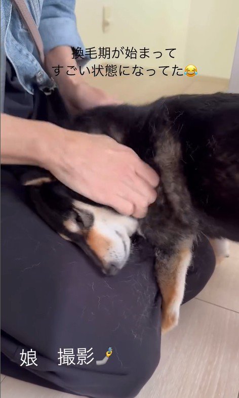 モカちゃんとママさんの再会8