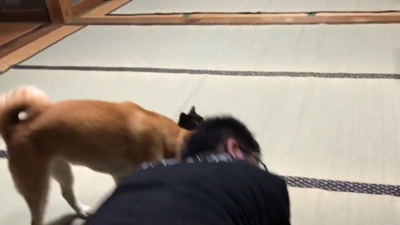 再び2人の間に割り込むももちゃん