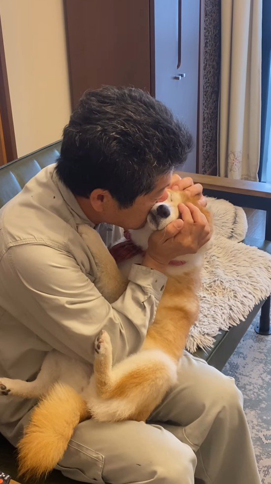 男性の手で顔を包まれる小雨ちゃん