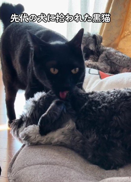 甲斐甲斐しい一面も