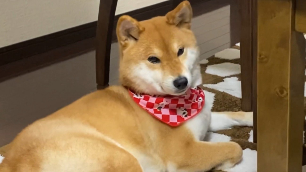 「お兄ちゃん」と言うと玄関を見て…