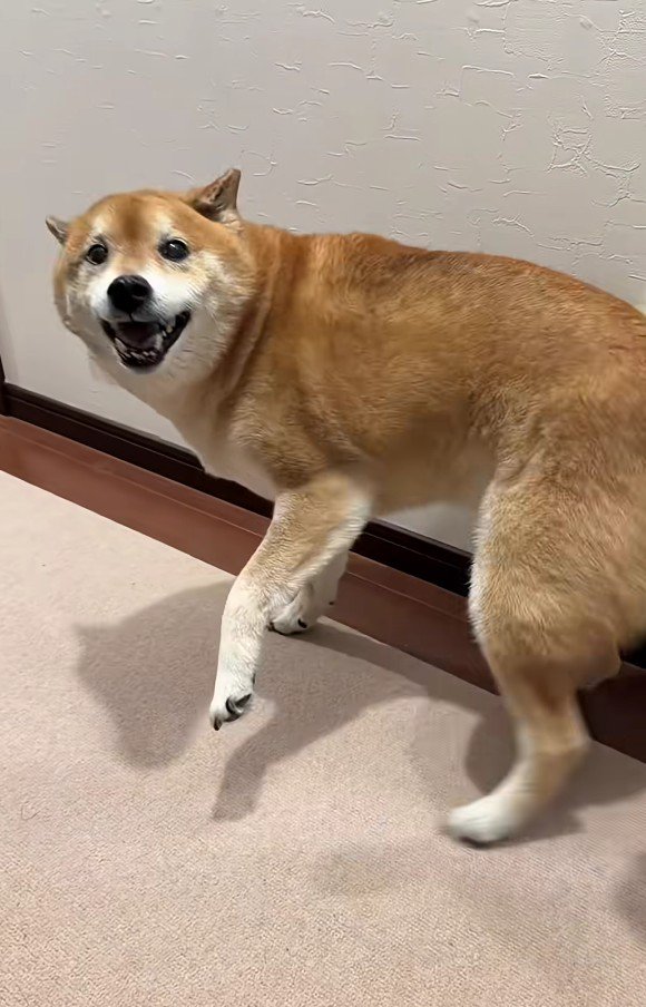 おばあちゃんを見つけたとき