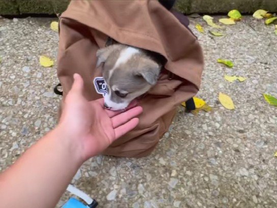 リュックに入れて…