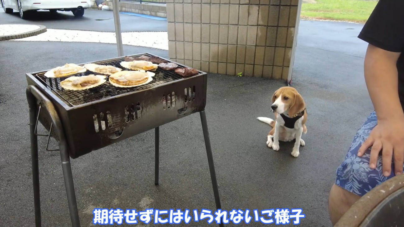 おすそ分けを期待するペコちゃん