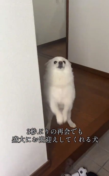 喜ぶべらちゃん