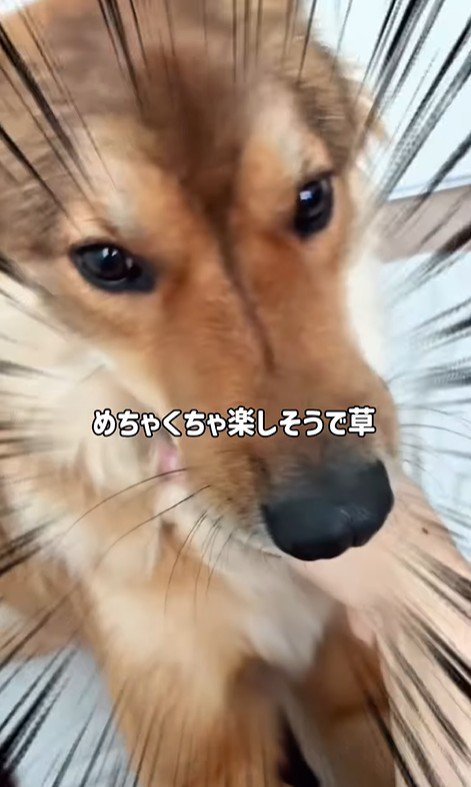 ママさん旅行中のラッキーくん5