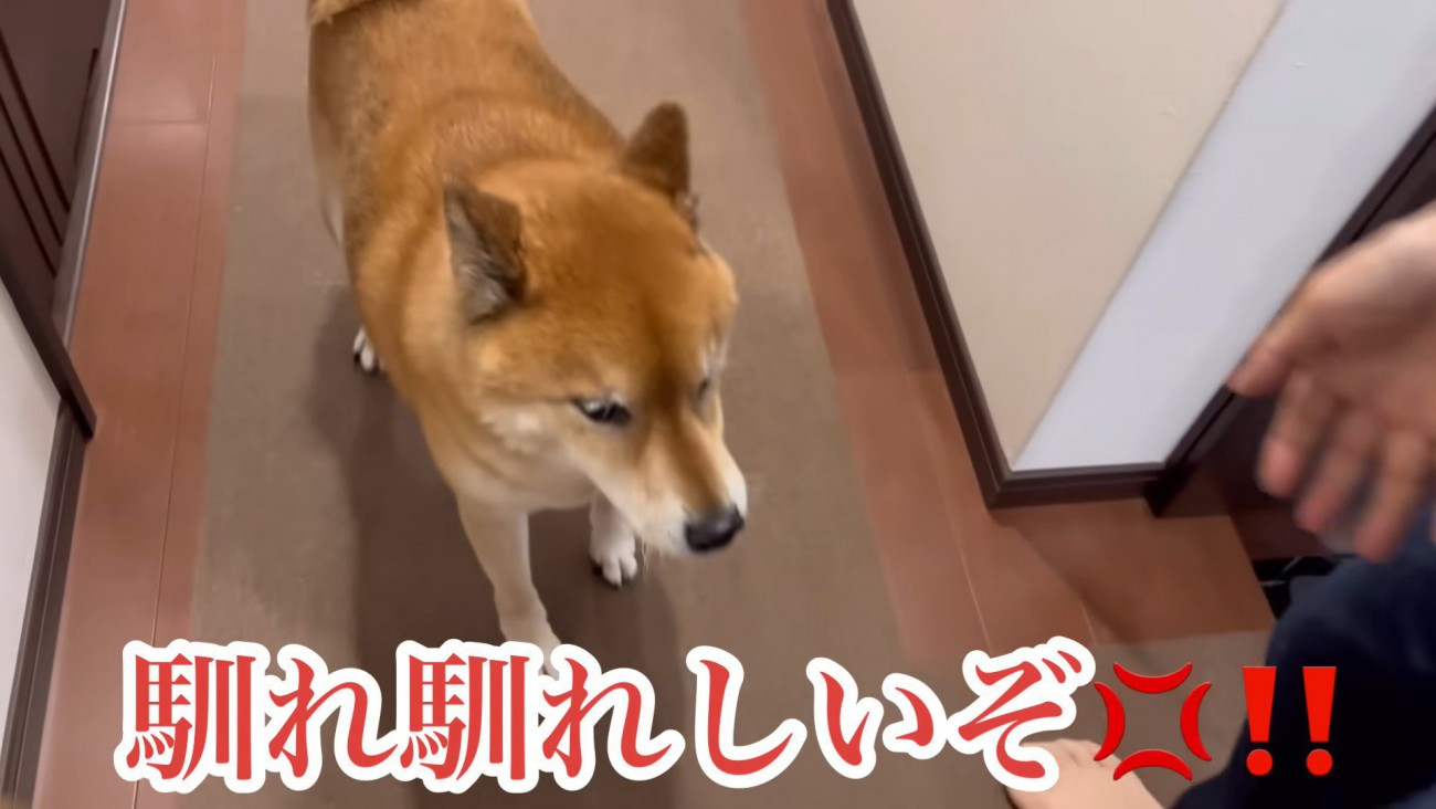 ロックくんは不満そう