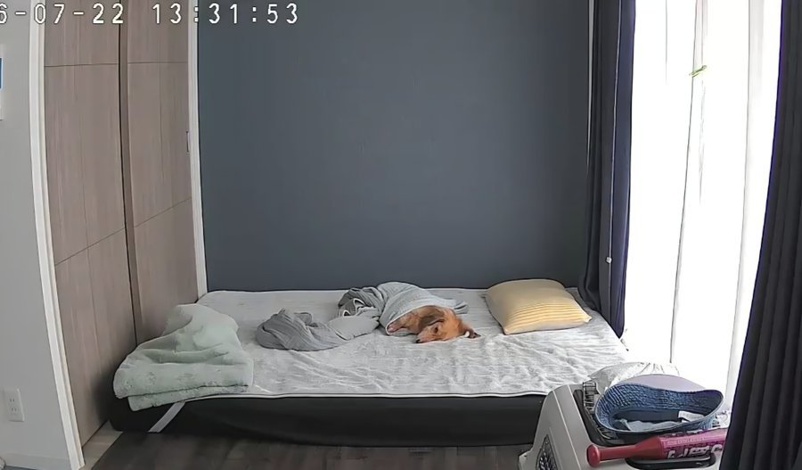 別日