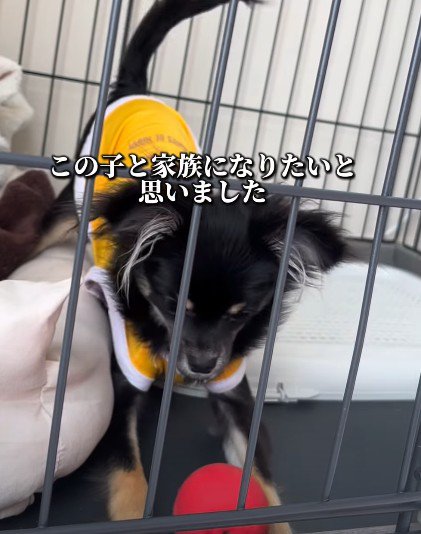 少しずつ変化が…