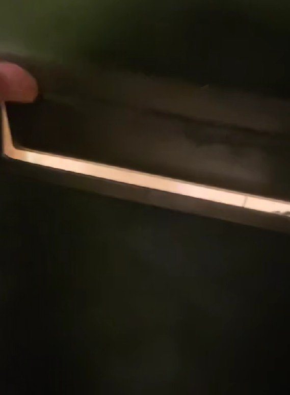 ポストから中を覗いたら…