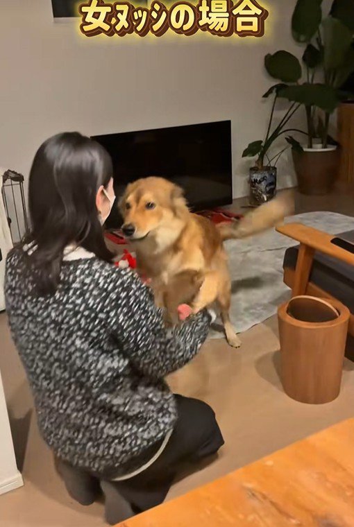 ラッキーくんの態度の違い7