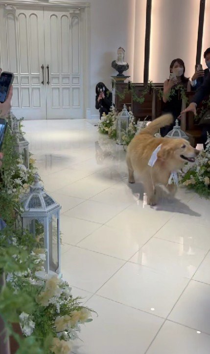 アイドルみたいなファンサービス