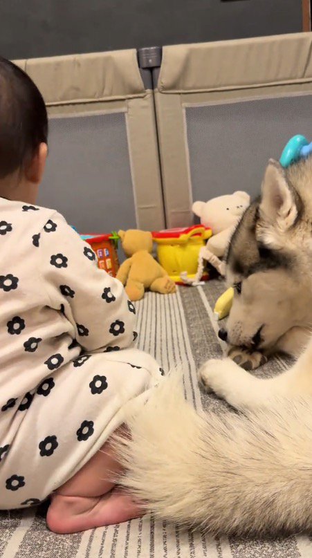 隣にならんでくつろぐ犬と赤ちゃん