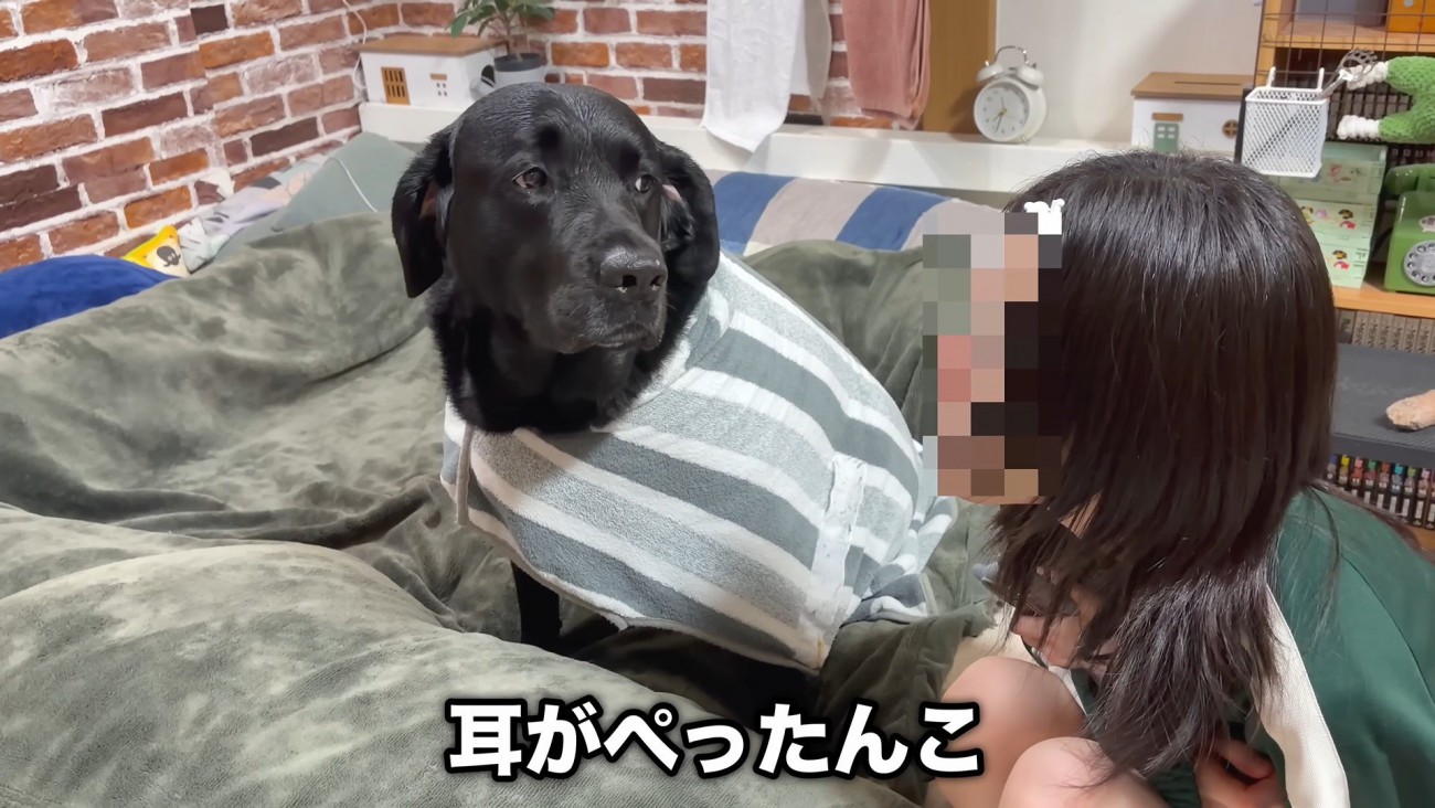 完全に人見知り発動中！