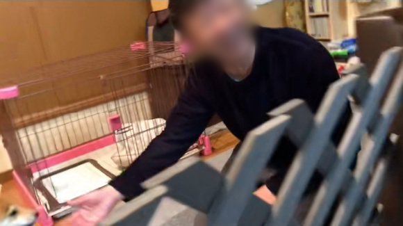 お父さんもほっこり