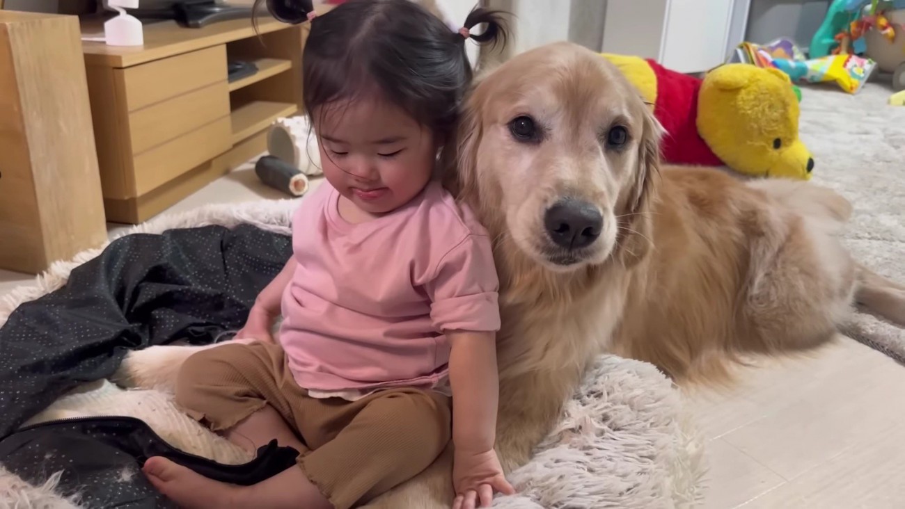 母性あふれる姿にホッコリ