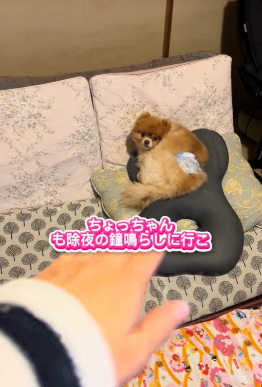 ちょっちゃんの年越し