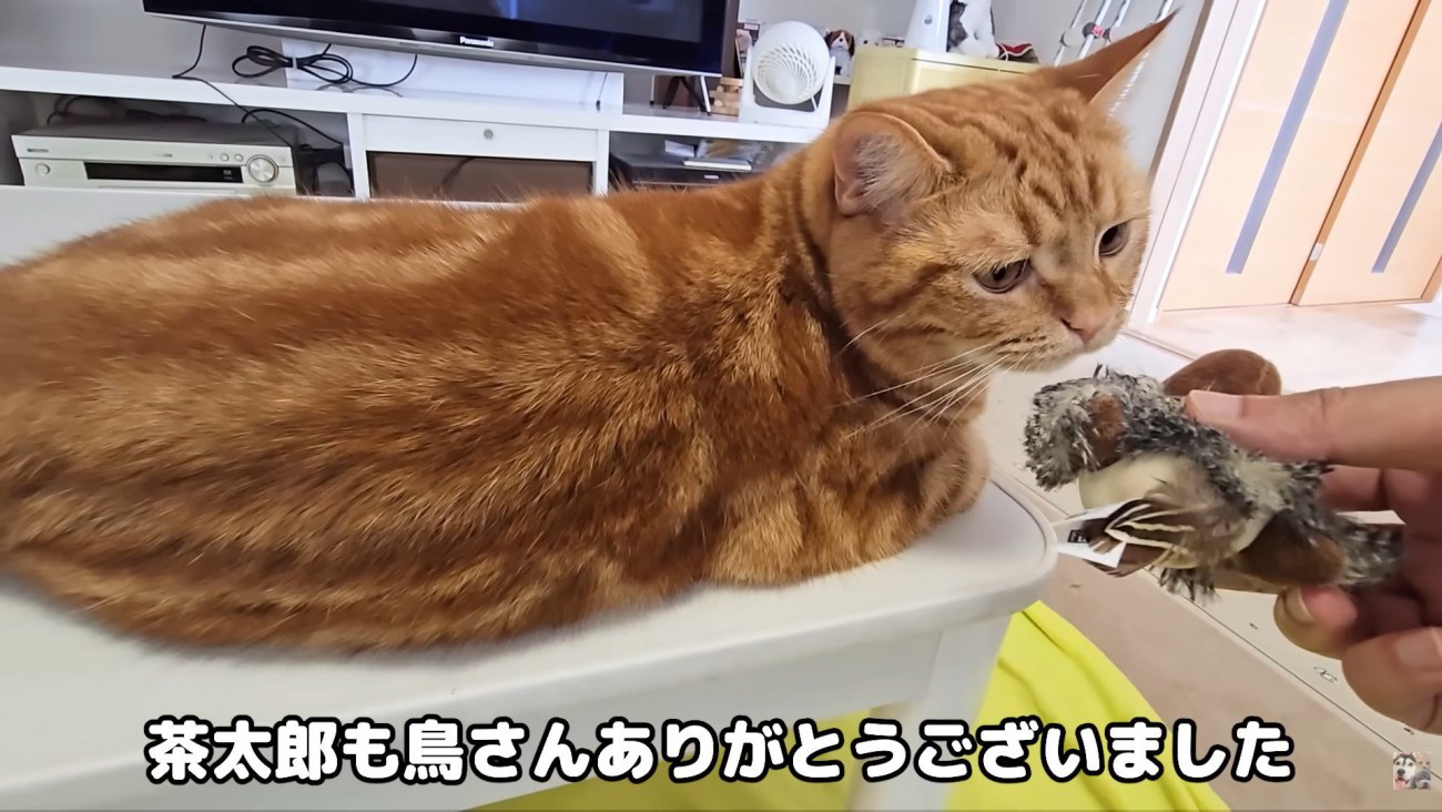 それぞれに「ありがとう」を伝えます