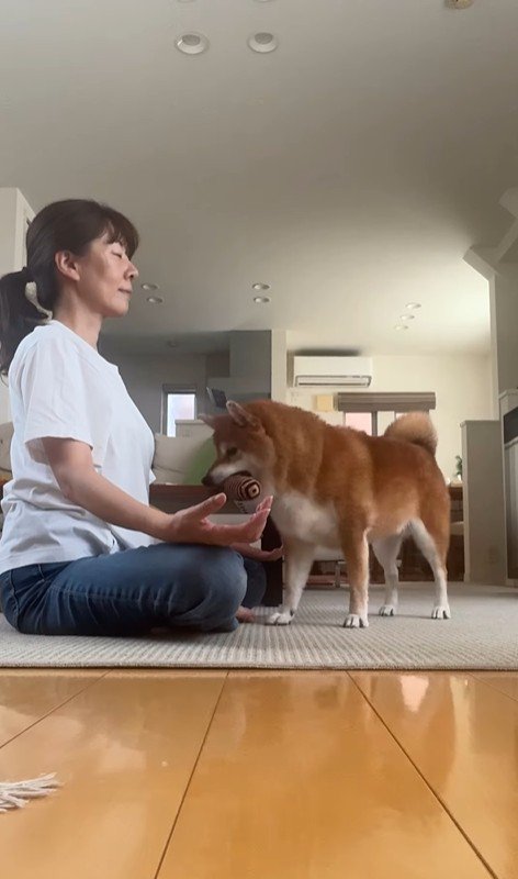 瞑想を邪魔する野々花ちゃん4