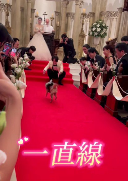 ダッシュで一直線！