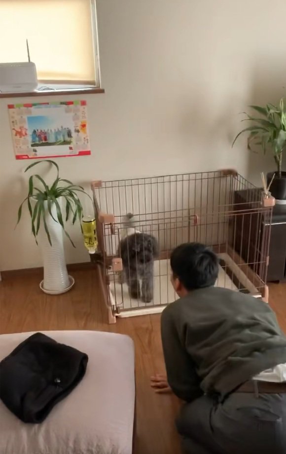 ワンコに顔を近づける友達