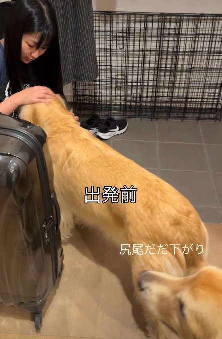 2週間も離れ離れに…