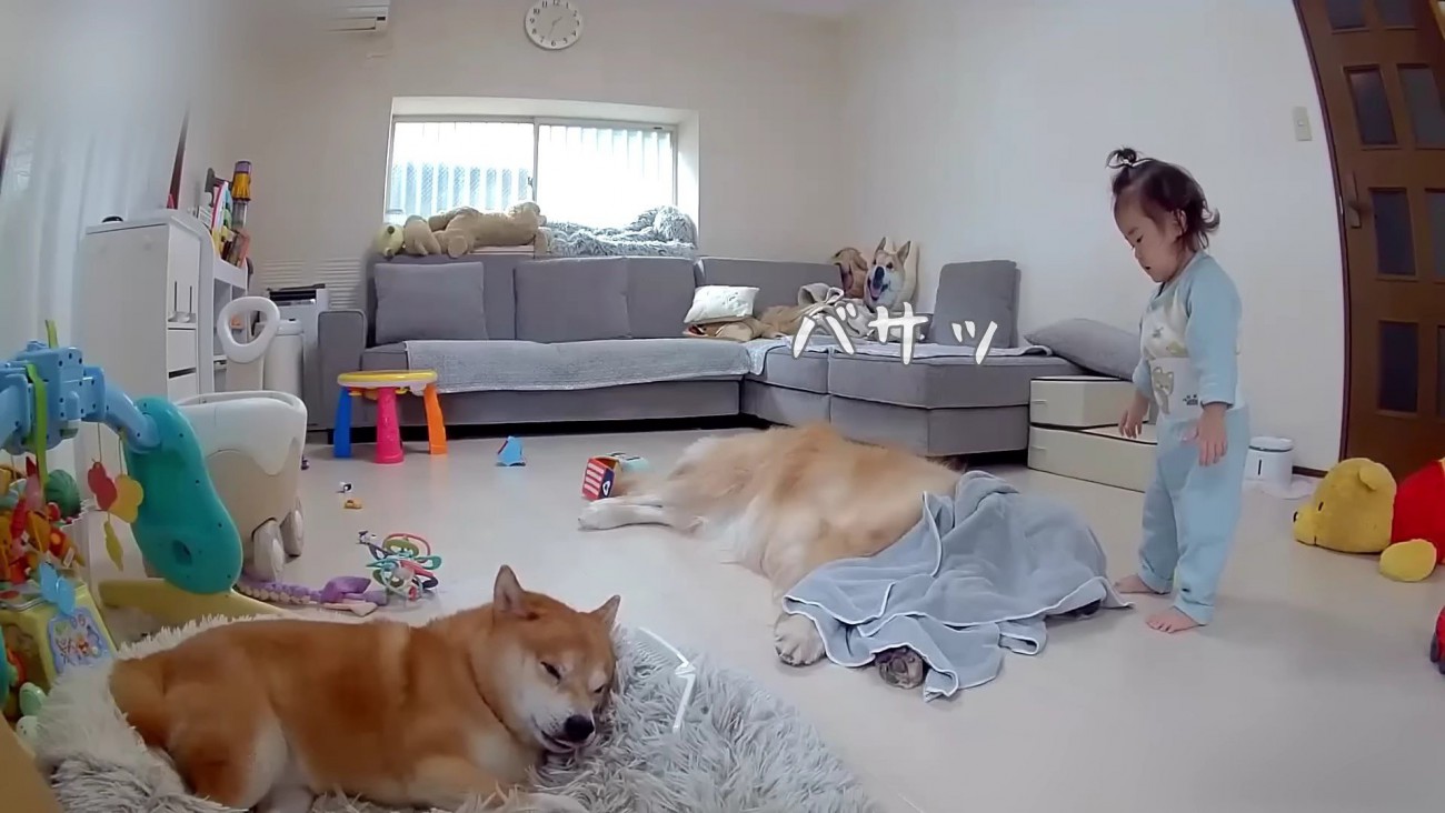 「タオルどうぞ！」