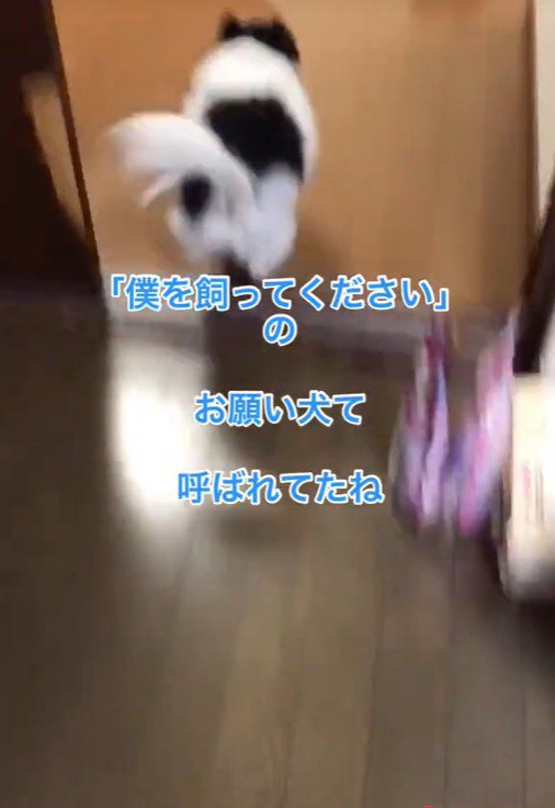 ちーちゃんとの出会い5