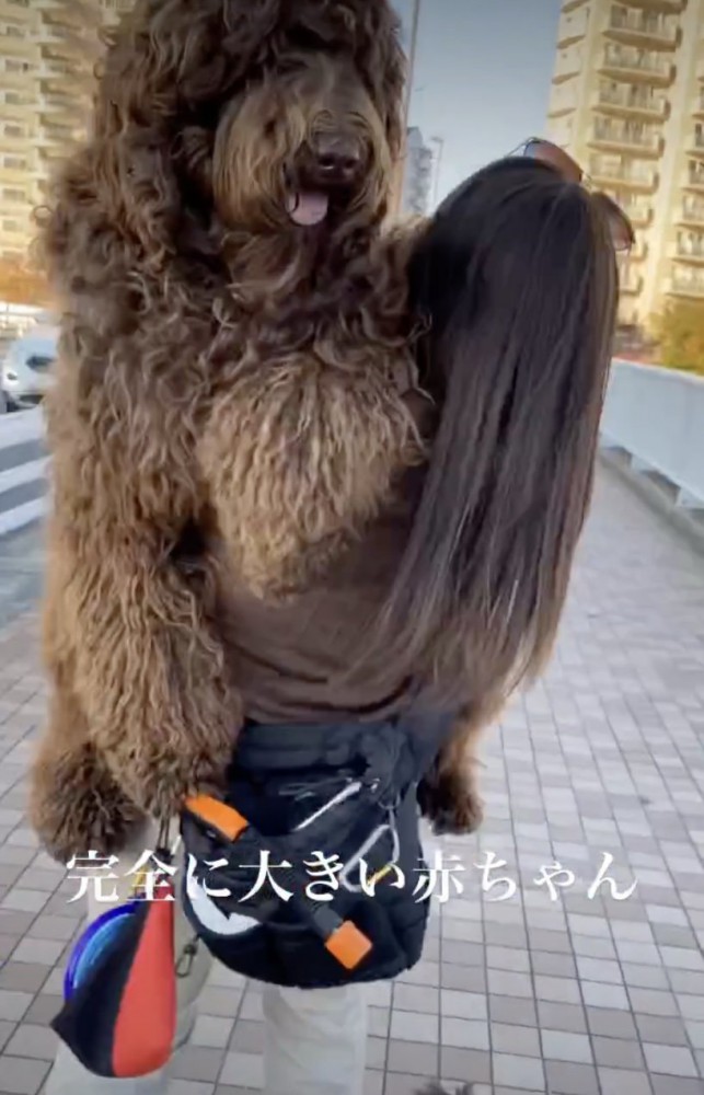 「抱っこ、さいこう…」