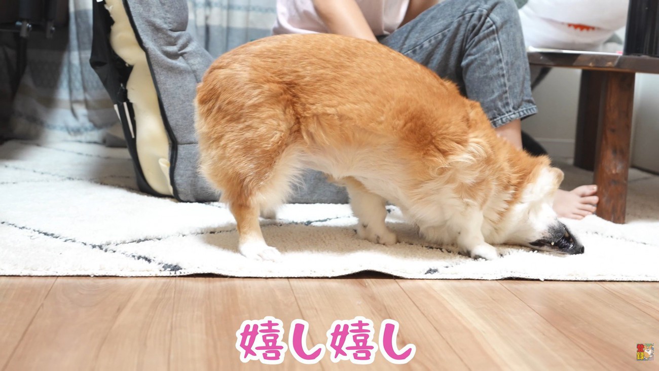 嬉しくてお顔をスリスリ♪